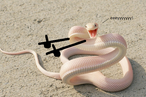 snappy-snake.png